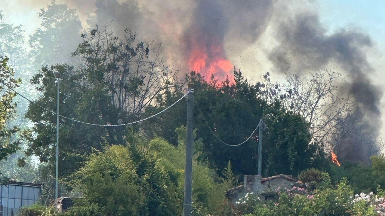 Le fiamme si sono sprigionate nel canneto che separa l’autostrada da via Saponiera Le fiamme si sono sprigionate nel canneto che separa l’autostrada da via Saponiera
