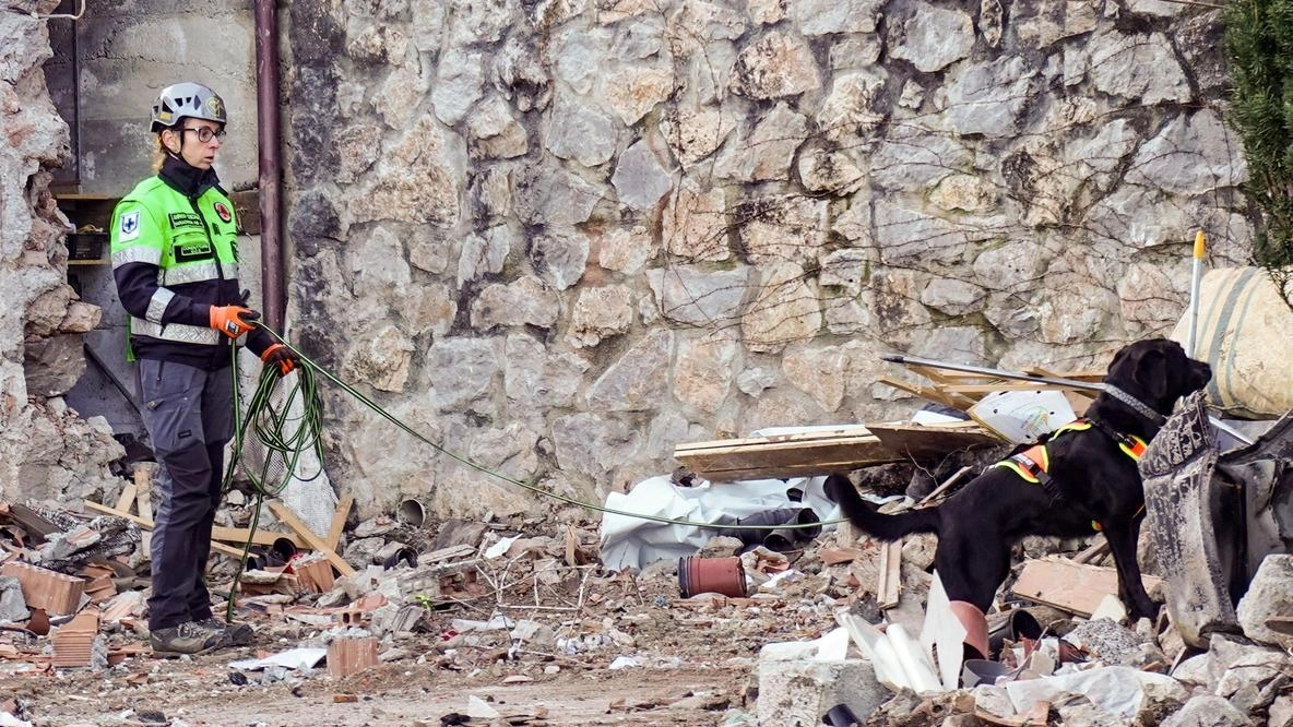 Raja, uno dei due cani molecolari di Anpana impiegati nella zona per trovare il corpo della donna (foto Borghesi) Raja, uno dei due cani molecolari di Anpana impiegati nella zona per trovare il corpo della donna (foto Borghesi)