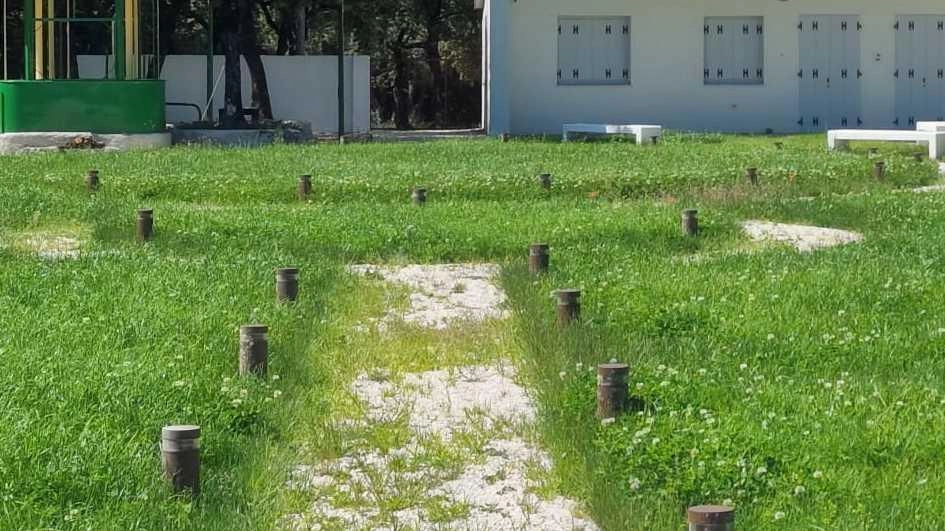 Il Teatro all’aperto di Monteluco resta inutilizzato e di fatto abbandonato Non c’è traccia dell’avvio dell’attività