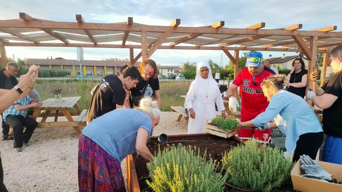 spazio per l8217agricoltura sociale sinergia fra aziende e istituzioni