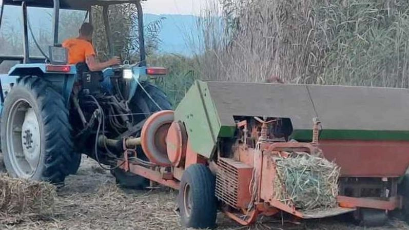 L’associazione dei proprietari terrieri Terra Nostra Unita attacca la Regione "Gli impegni presi per avere un disciplinare sulle regole non sono mantenuti".