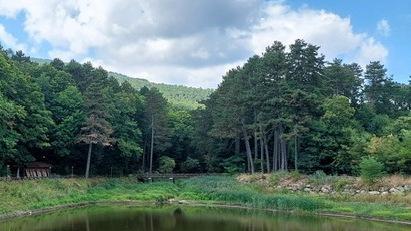 Laghetto verde, servono 600mila euro. Fondi per il recupero dell’invaso: "Risorse idriche per l’antincendio" Laghetto verde, servono 600mila euro. Fondi per il recupero dell’invaso: "Risorse idriche per l’antincendio"