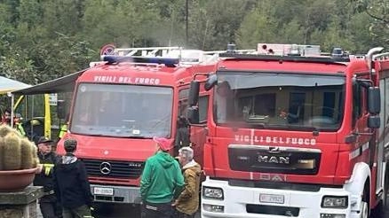 Nel decimo campionato mondiale del Fungo a Cerreto Laghi, oltre mille partecipanti si sono sfidati non solo a raccogliere, ma a valorizzare l'ecosistema fungo con componimenti artistici e pulizia dei boschi. Una nuova prospettiva che premia la bellezza e i benefici della pratica nel Parco Nazionale dell’Appennino Tosco-Emiliano. Nel decimo campionato mondiale del Fungo a Cerreto Laghi, oltre mille partecipanti si sono sfidati non solo a raccogliere, ma a valorizzare l'ecosistema fungo con componimenti artistici e pulizia dei boschi. Una nuova prospettiva che premia la bellezza e i benefici della pratica nel Parco Nazionale dell’Appennino Tosco-Emiliano.