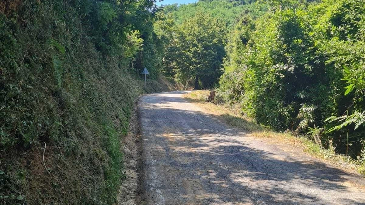 A Petrognano, in via di Gelli, sono state ripulite le zanelle ostruite dalla terra, per consentire un regolare deflusso delle acque ed è stato risistemato il manto stradale dove erano presenti avvallamenti. La pulizia delle zanelle realizzata anche in via di Vorno a Vorno A Petrognano, in via di Gelli, sono state ripulite le zanelle ostruite dalla terra, per consentire un regolare deflusso delle acque ed è stato risistemato il manto stradale dove erano presenti avvallamenti. La pulizia delle zanelle realizzata anche in via di Vorno a Vorno