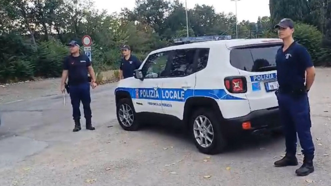 Controlli della provinciale Controlli della provinciale