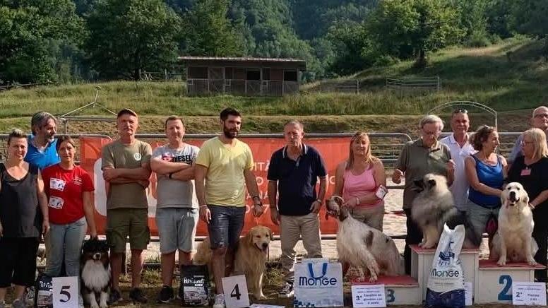 La mappa degli eventi in Lunigiana. Ballo liscio, escursioni e motoraduni. Mostre e un’esposizione canina La mappa degli eventi in Lunigiana. Ballo liscio, escursioni e motoraduni. Mostre e un’esposizione canina