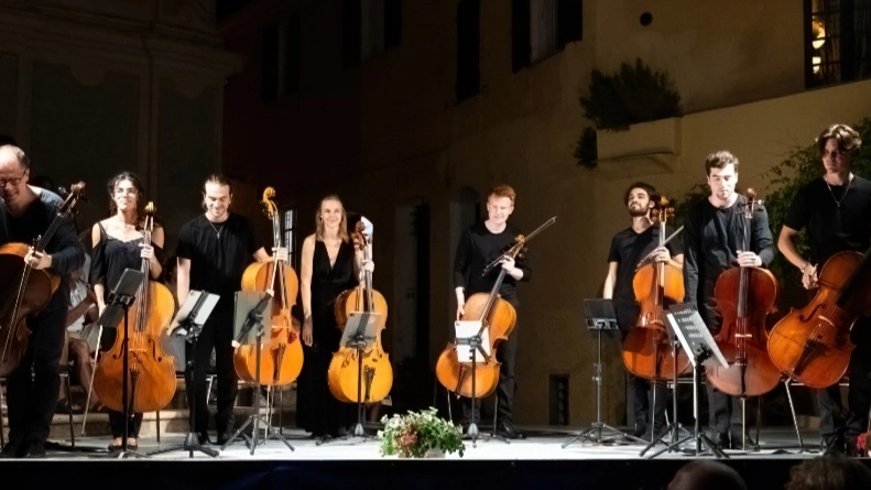 Violoncellisti Violoncellisti