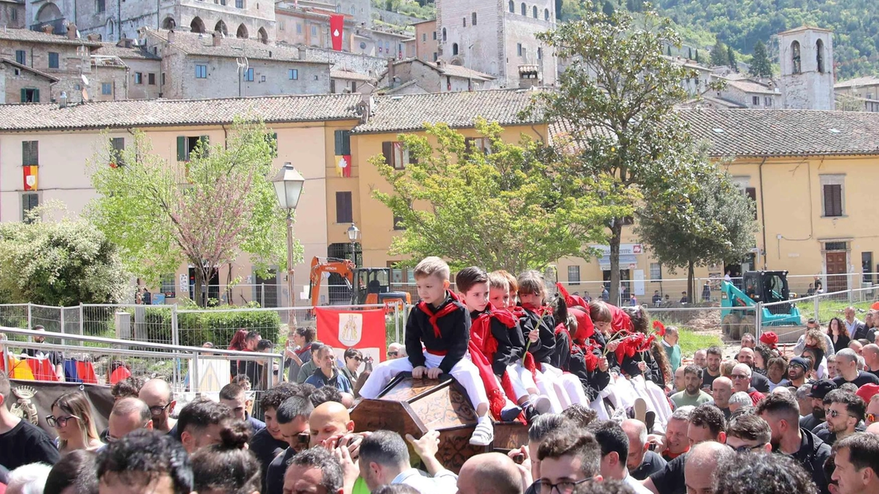 La tradizionale discesa dei Ceri, in orizozntale, dalla Basilica sul monte Ingino fino a piazza Grande. Iniziano così le due settimane più emozionanti per Gubbio La tradizionale discesa dei Ceri, in orizozntale, dalla Basilica sul monte Ingino fino a piazza Grande. Iniziano così le due settimane più emozionanti per Gubbio