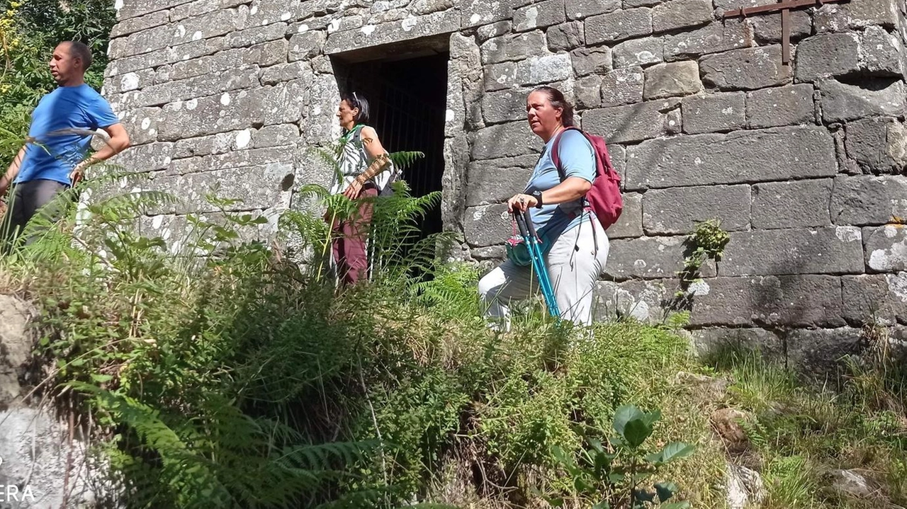 Sabrina Carrara è portavoce del Comitato per Lignana, da tempo impegnato a organizzare eventi volti al recupero della chiesa della... Sabrina Carrara è portavoce del Comitato per Lignana, da tempo impegnato a organizzare eventi volti al recupero della chiesa della...