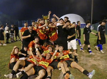immagine articolo