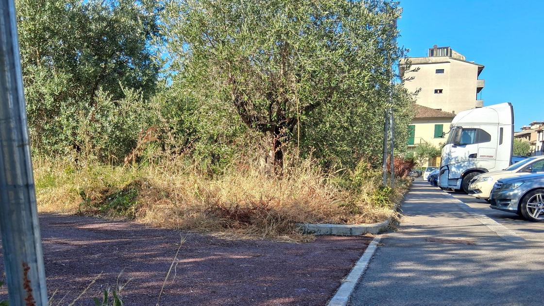 Via del Noce, giardino ripulito. Risolto il caso dopo le proteste Via del Noce, giardino ripulito. Risolto il caso dopo le proteste