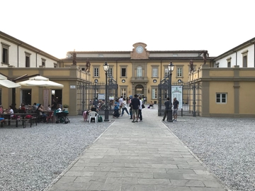 immagine articolo