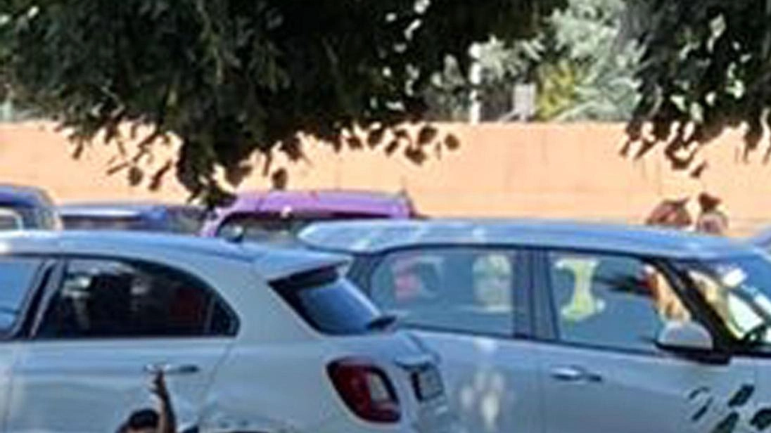 Due tunisini sono stati arrestati a Firenze per tentato furto aggravato su un'auto. Sorpresi dai carabinieri mentre rompevano il vetro, sono stati condannati all'obbligo di presentarsi alla polizia giudiziaria. Due tunisini sono stati arrestati a Firenze per tentato furto aggravato su un'auto. Sorpresi dai carabinieri mentre rompevano il vetro, sono stati condannati all'obbligo di presentarsi alla polizia giudiziaria.