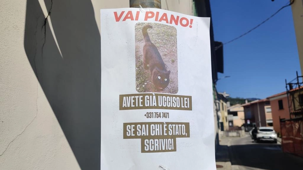 Il cartello che la giovane ha appeso dopo l’investimento di Olivia