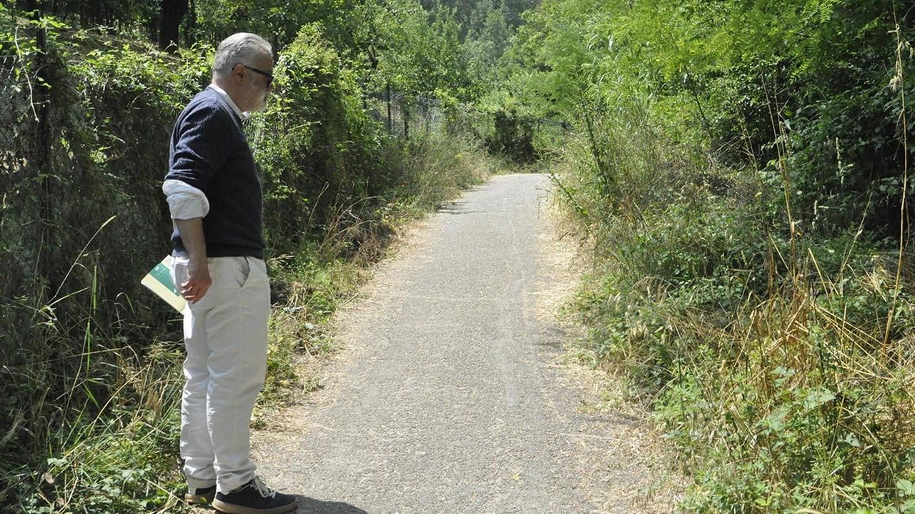La pista ciclabile e pedonale che va da Bellavista a Staggia ha urgente bisogno di un’importante manutenzione per poter essere perfettamente fruibile La pista ciclabile e pedonale che va da Bellavista a Staggia ha urgente bisogno di un’importante manutenzione per poter essere perfettamente fruibile