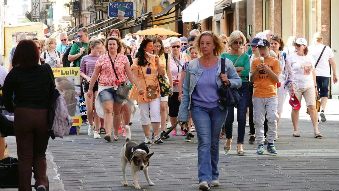 L’assessore e vicesindaco: "Non siamo al top, ma stiamo lavorando per colmare il gap". Lombardi: "I numeri spezzini potenzialmente influenzati da una stagionalità più tardiva". L’assessore e vicesindaco: "Non siamo al top, ma stiamo lavorando per colmare il gap". Lombardi: "I numeri spezzini potenzialmente influenzati da una stagionalità più tardiva".