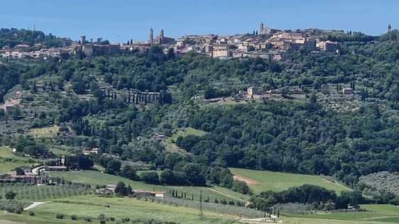Gli eventi del Festival proseguiranno nelle settimane successive, all’interno della location dell’Orto di Sesto Gli eventi del Festival proseguiranno nelle settimane successive, all’interno della location dell’Orto di Sesto