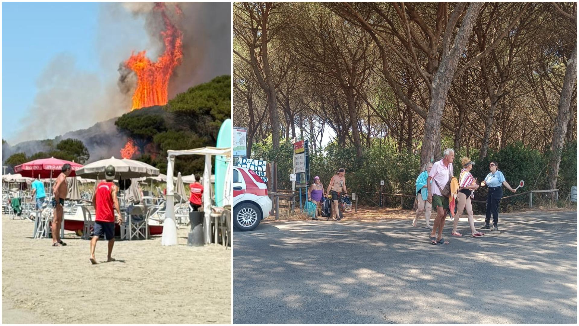 Le fiamme, la colonna di fumo, il vento: incendio in pineta, fuga dalla spiaggia Le fiamme, la colonna di fumo, il vento: incendio in pineta, fuga dalla spiaggia
