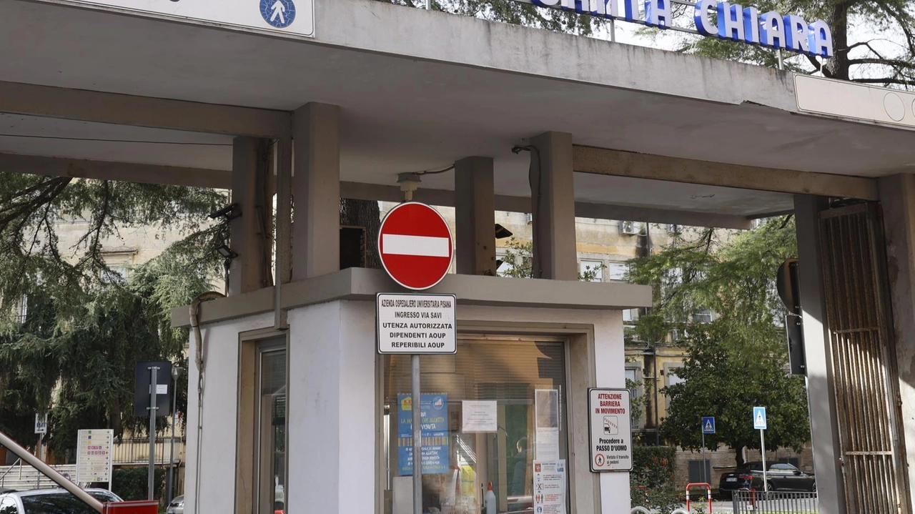 Dopo le denunce sulle attese per la radioterapia, la storia di Stefania Pettini "Avrei dovuto aspettare 40 giorni, ma nel frattempo sarei potuta morire" .