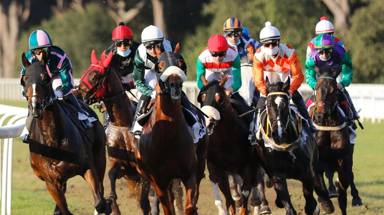 San Rossore si prepara ad uno degli appuntamenti più importanti dell’anno con due Listed e due Handicap Principale San Rossore si prepara ad uno degli appuntamenti più importanti dell’anno con due Listed e due Handicap Principale