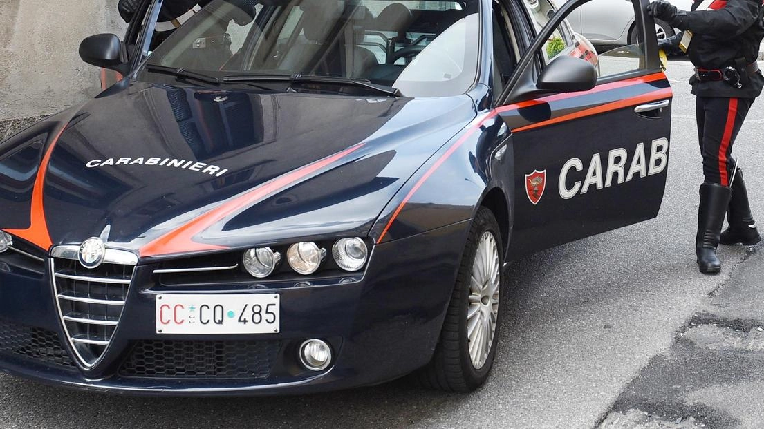 La pena è stata, con rito abbreviato, di 3 anni 6 mesi e 20 giorni. Era accusata dell’omicidio preterintenzionale dell’anziana madre. La pena è stata, con rito abbreviato, di 3 anni 6 mesi e 20 giorni. Era accusata dell’omicidio preterintenzionale dell’anziana madre.