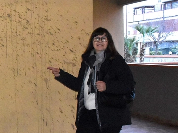 immagine articolo