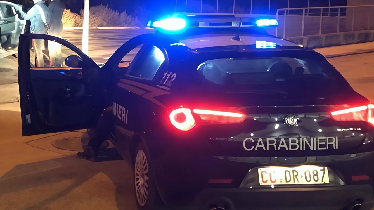 I controlli eseguiti dai carabinieri I controlli eseguiti dai carabinieri