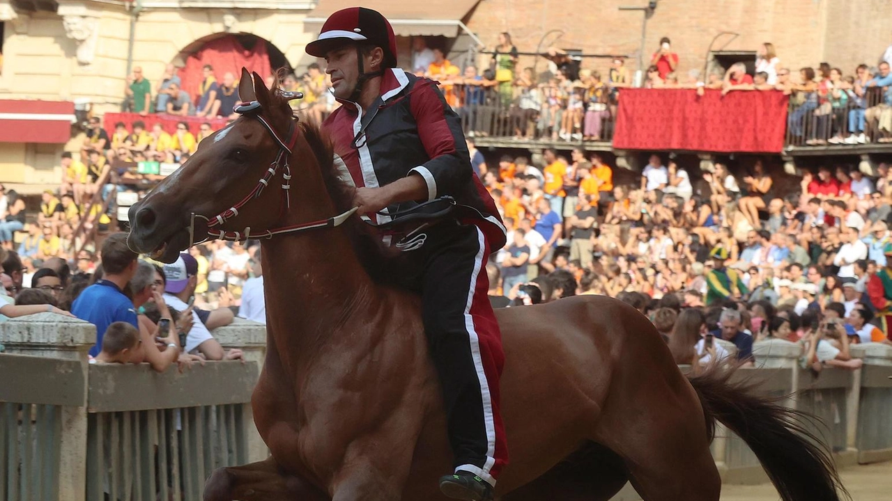 Jonatan Bartoletti in sella a Benitos