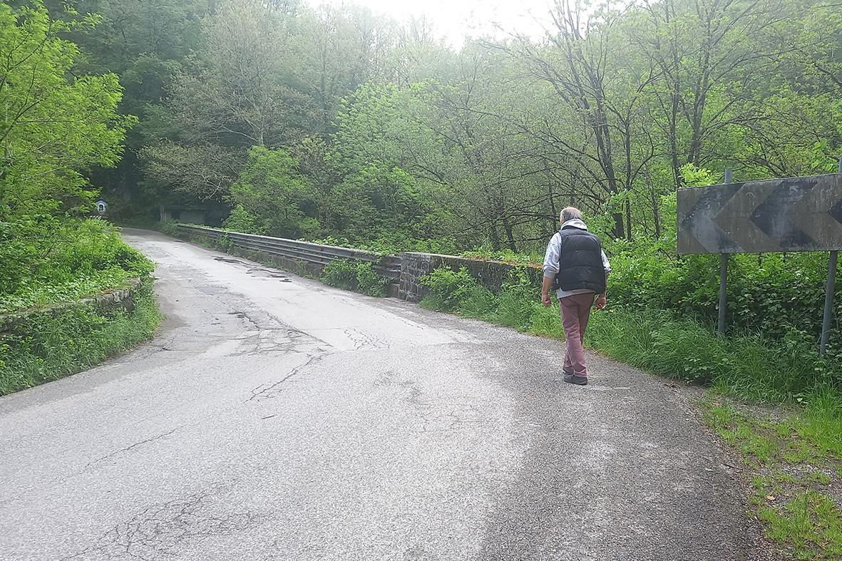 https://www.lanazione.it/image-service/view/acePublic/alias/contentid/Njg1YjQ5OTQtYjVhYS00/0/il-ponte-rosso-non-sara-chiuso-salvo-il-passaggio-degli-scuolabus.jpeg?f=1.90:1&w=1200