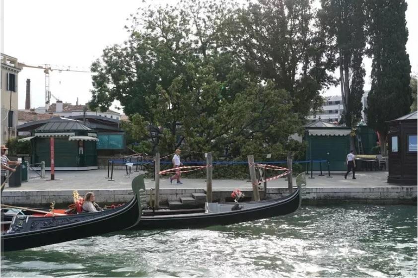  era in arresto cardiaco l ho rianimata medico umbro soccorre i feriti dell albero caduto a venezia