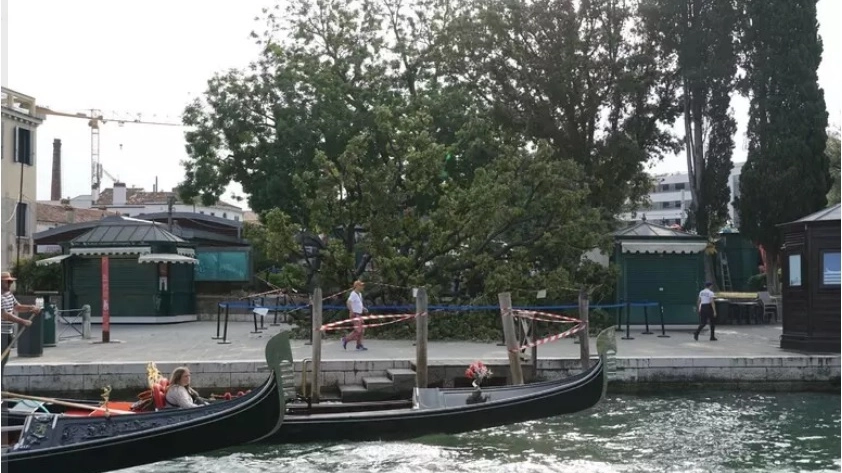 "Era in arresto cardiaco, l’ho rianimata”: medico umbro soccorre i feriti dell’albero caduto a Venezia