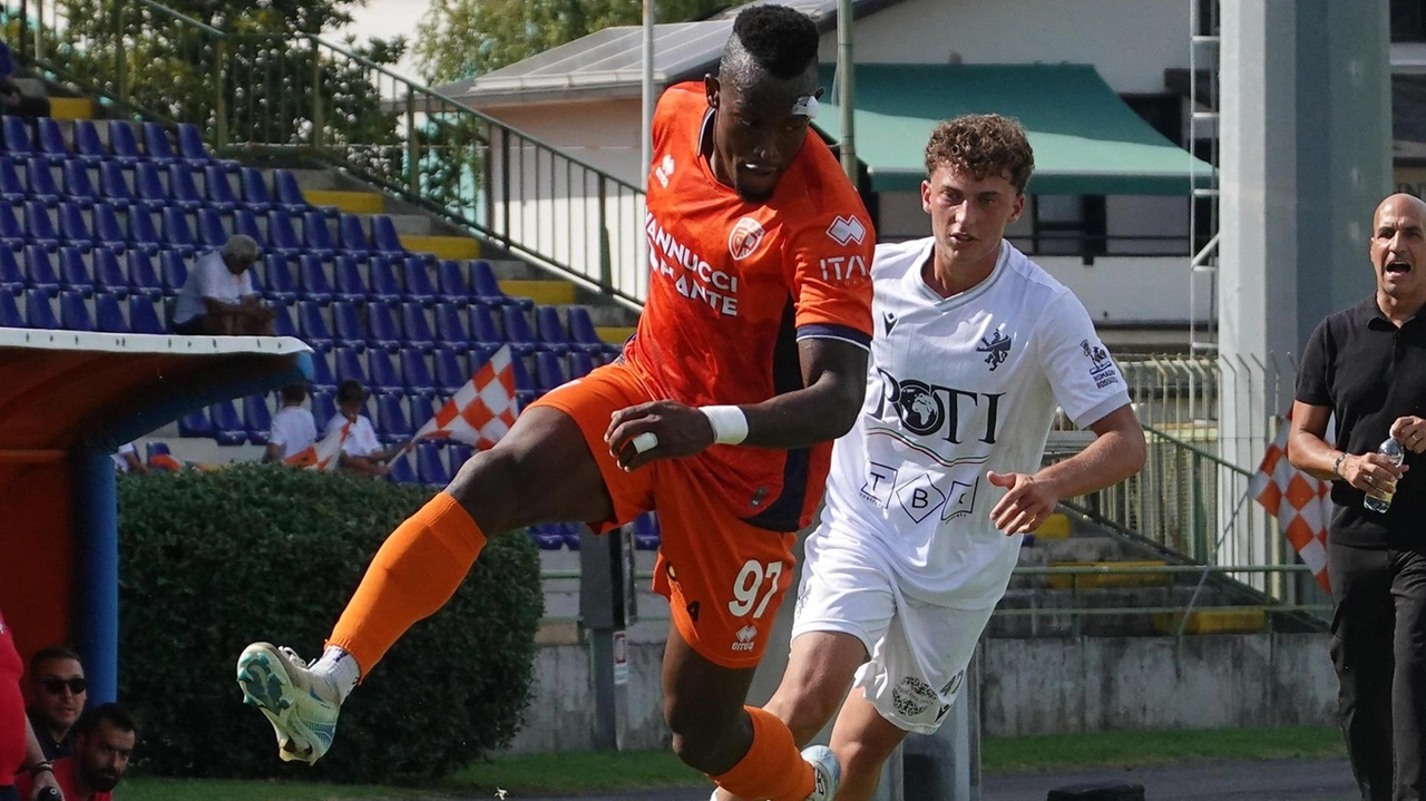 Cherif Diallo avrà un’altra occasione dal primo minuto, intorno all’ex Dolomiti Bellunesi agiranno Simone Simeri e Federico Russo (Acerboni-FotoCastellani) Cherif Diallo avrà un’altra occasione dal primo minuto, intorno all’ex Dolomiti Bellunesi agiranno Simone Simeri e Federico Russo (Acerboni-FotoCastellani)