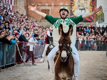 immagine articolo