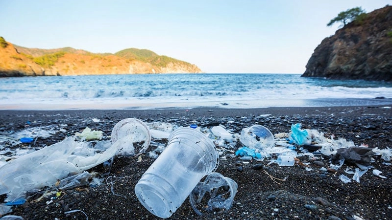 Plastic free Onlus, nel 2024 rimosse in Toscana 55 tonnellate Plastic free Onlus, nel 2024 rimosse in Toscana 55 tonnellate