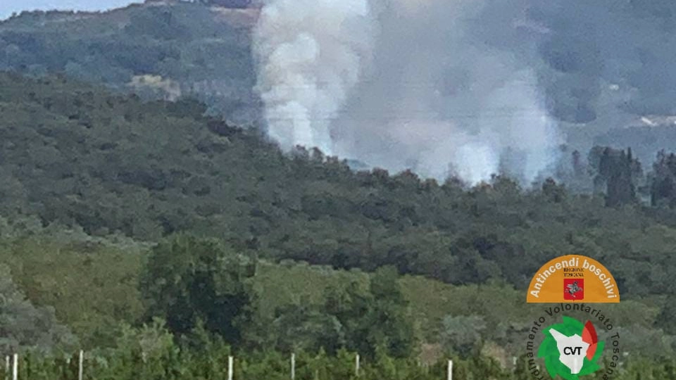 Incendio in un bosco nel comune di Roccastrada (Foto Antincendi boschivi)