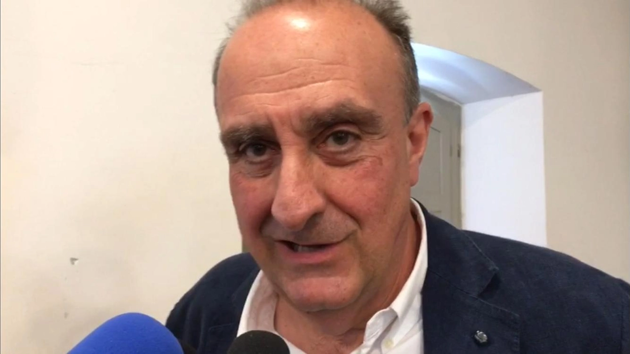 d'urso d'urso