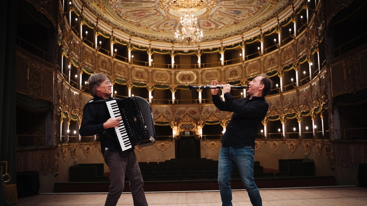 Accordance Duo