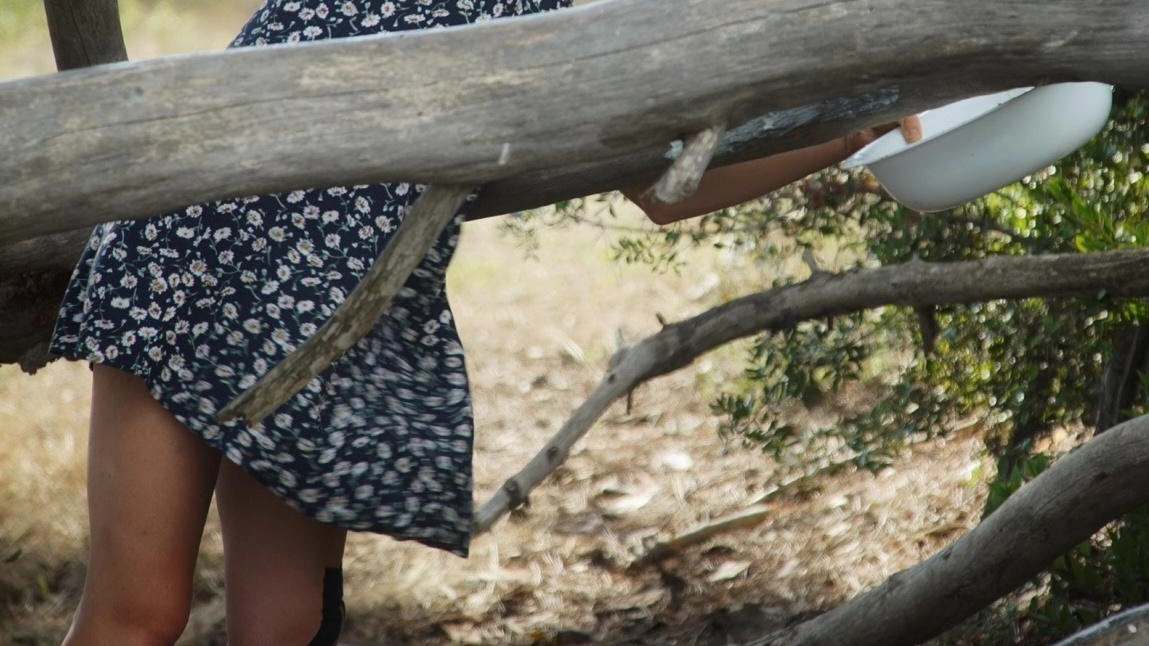 Il campus creativo Dune si apre al pubblico con due giornate di performance, installazioni e visioni di Arte nella natura al Parco della Maremma Il campus creativo Dune si apre al pubblico con due giornate di performance, installazioni e visioni di Arte nella natura al Parco della Maremma
