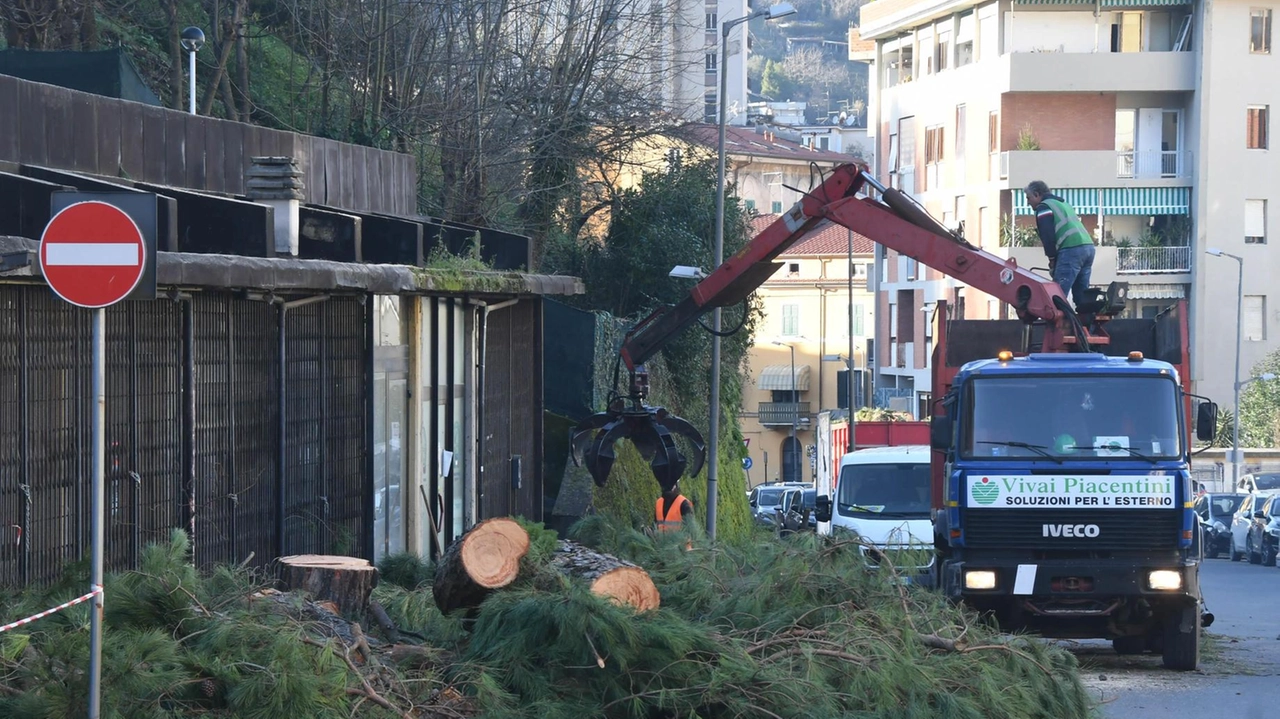 L’associazione ambientalista Arca interviene sul piano del verde parlando di un testo "già vecchio ancor prima di nascere, opaco nei...