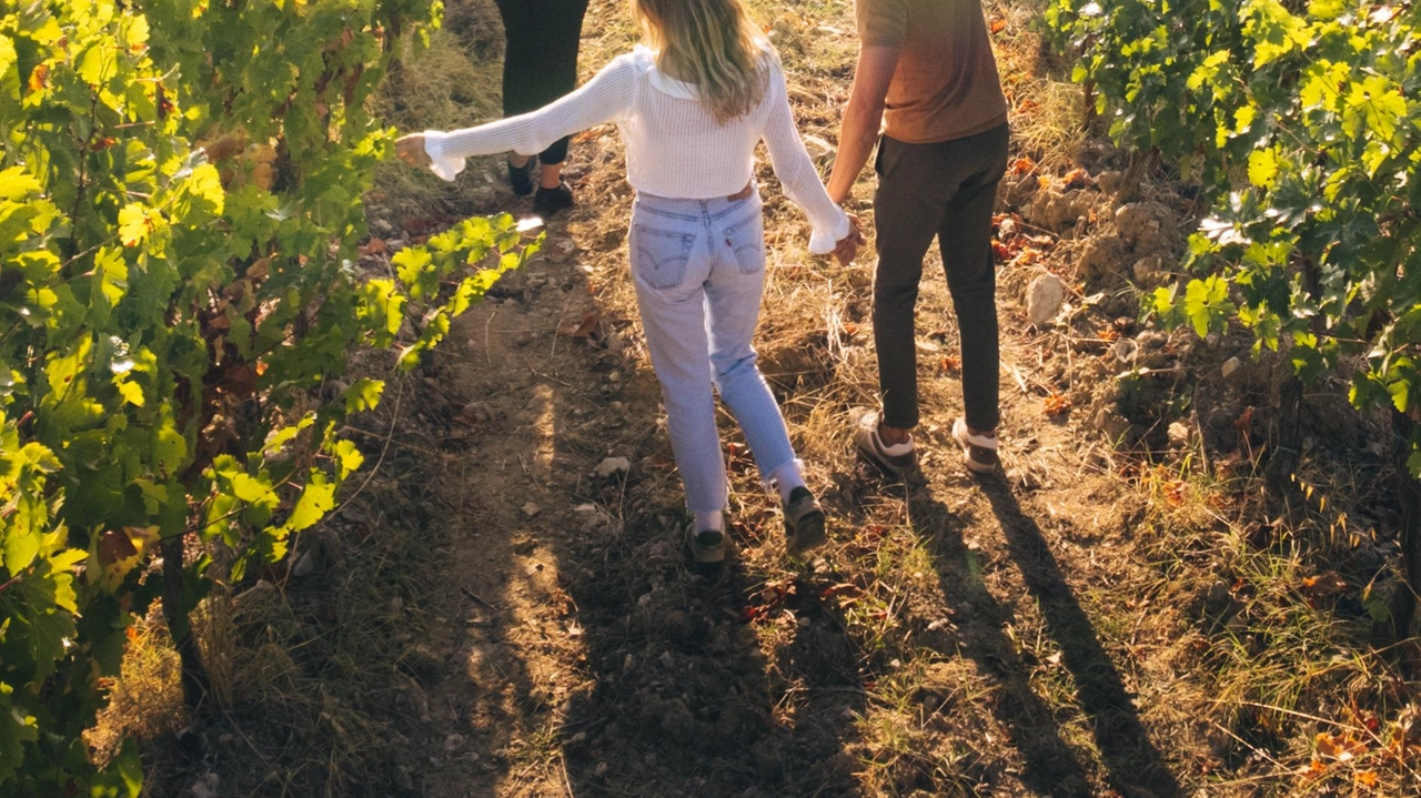 Ha piazzato due vini tra i primi cento di Wine Spectator nello stesso anno "Orgoglio e soddisfazione doppia perché sono prodotti della mia terra". Ha piazzato due vini tra i primi cento di Wine Spectator nello stesso anno "Orgoglio e soddisfazione doppia perché sono prodotti della mia terra".