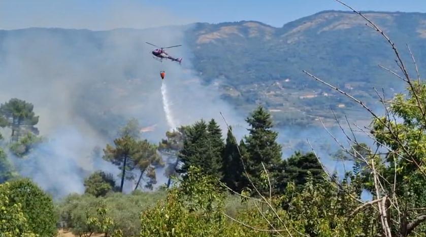 https://www.lanazione.it/image-service/view/acePublic/alias/contentid/Njk3ZDg3Y2MtODUxNS00/0/incendio-a-schignano-nel-comune-di-vaiano-foto-dal-video-di-claudia-iozzelli.jpeg?f=1.91:1&w=1200