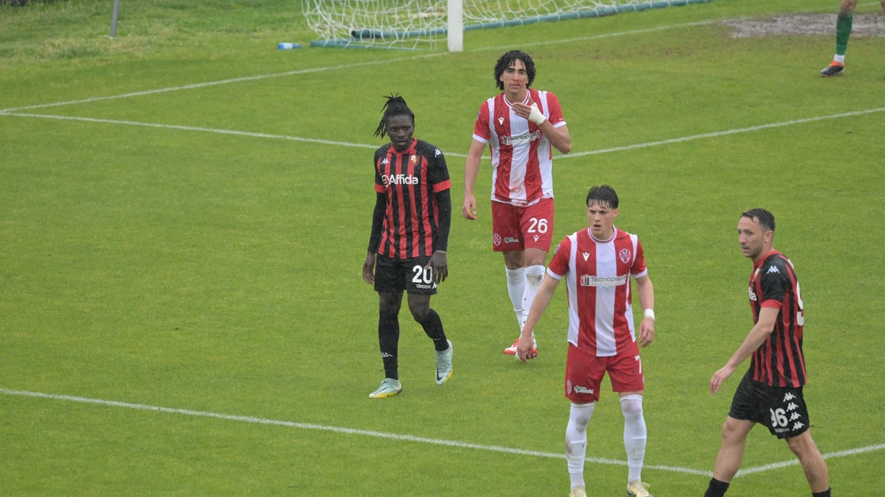 La Lucchese torna alla vittoria: batte la Vis Pesaro 1-0, gol di Selvini
