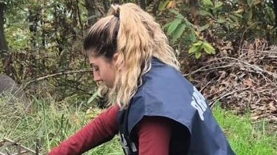 Sequestrati anche 33 esemplari di tordo sassello e bottaccio, cesena e merlo