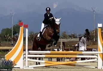 https://www.lanazione.it/image-service/view/acePublic/alias/contentid/NjllNzlhYjctZGNkYS00/0/il-longines-versilia-horse-show-by-giorgio-armani.jpeg