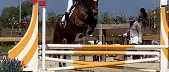 Longines Versilia Horse Show: spettacolo equestre a Bussoladomani con Giorgio Armani