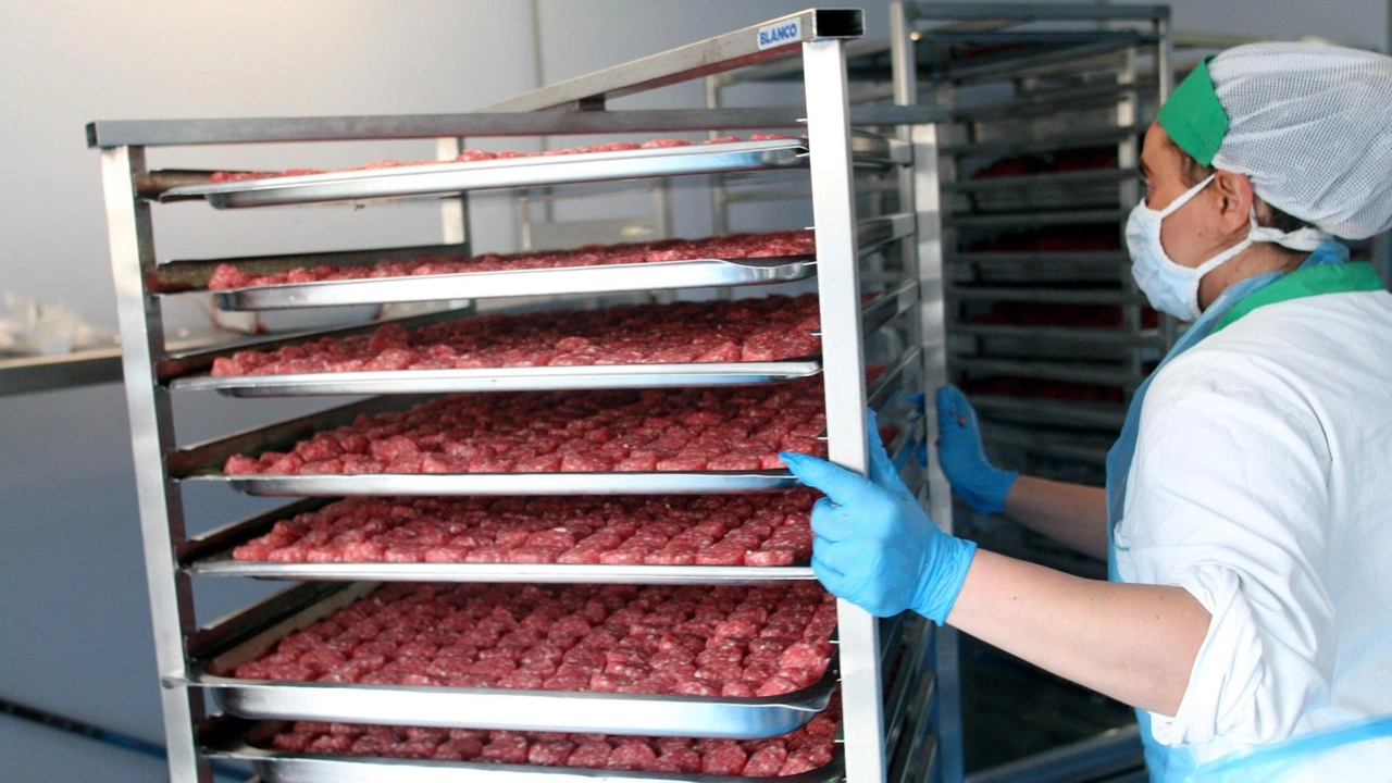 Una cella per contenere la carne all’interno. della società ’Qualità e Servizi’ in una foto d’archivio (FotocronacheGermogli) Una cella per contenere la carne all’interno. della società ’Qualità e Servizi’ in una foto d’archivio (FotocronacheGermogli)