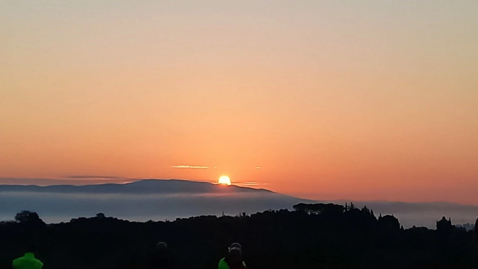 alba