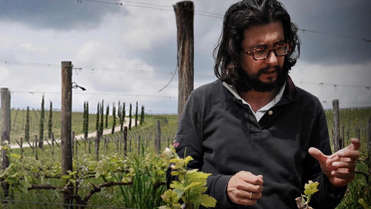 Stefano Amerighi, imprenditore del vino e presidente del Consorzio Syrah Doc di Cortona analizza l’effetto dazi