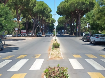 immagine articolo