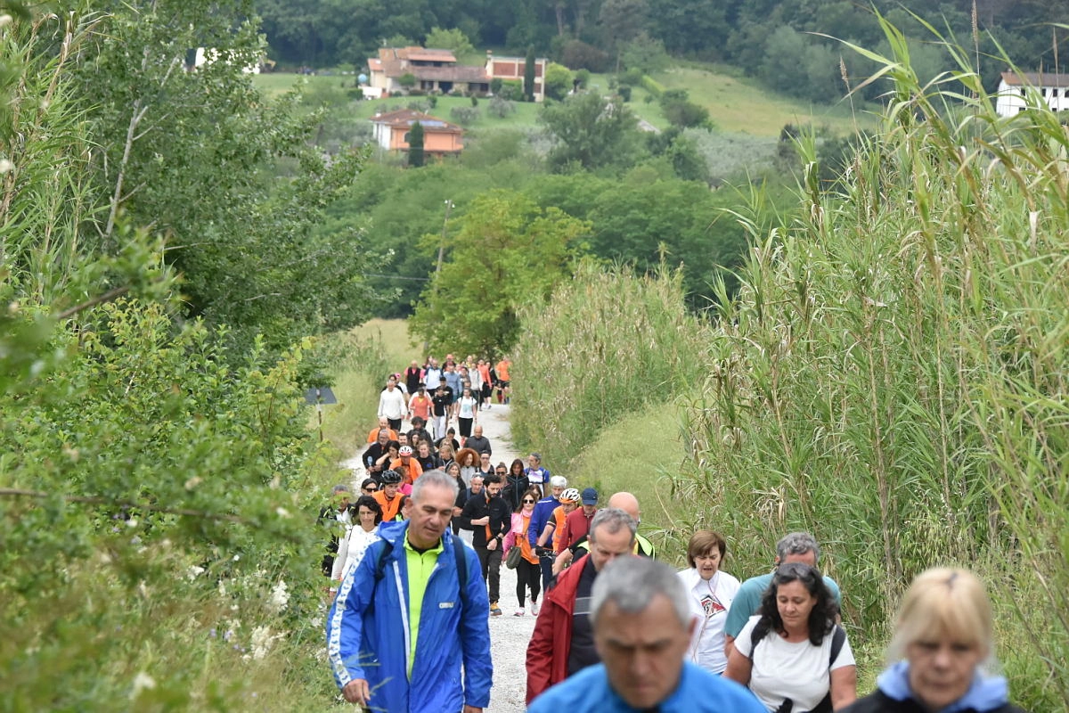 immagine di sfondo 7